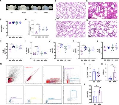 The immediate adverse drug reactions induced by ShenMai Injection are mediated by thymus-derived T cells and associated with RhoA/ROCK signaling pathway